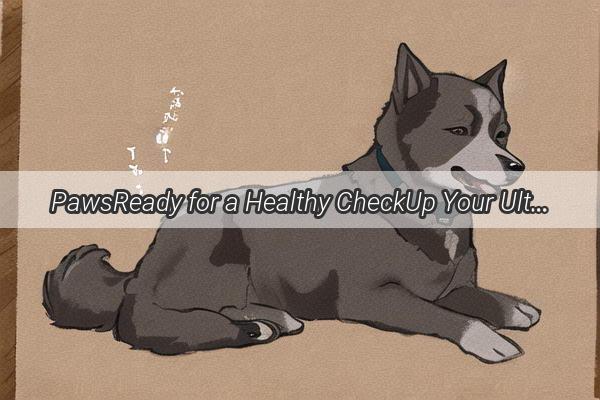 PawsReady for a Healthy CheckUp Your Ultimate Guide to Preparing Your Dog for a Vet Visit